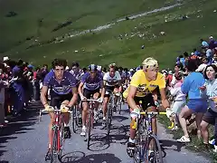 Perico-Tour1984-Fignon-Lemond2