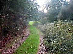 DSCN5359 DSCN5359