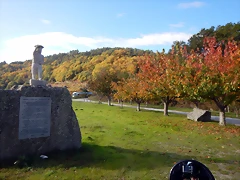 DSCN9775