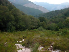 DSCN3878 DSCN3878