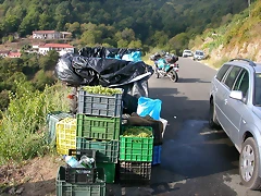 DSCN7481 DSCN7481