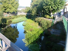 DSCN7478 DSCN7478