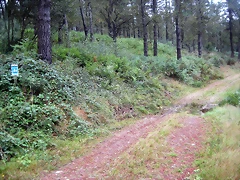IMG_0214 IMG_0214