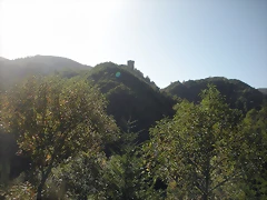 DSCN9993 DSCN9993