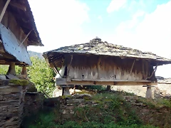 DSCN0939 DSCN0939