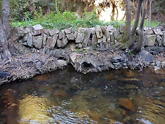 DSCN7908