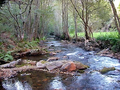 DSCN7912