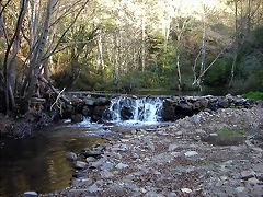 DSCN7906