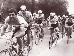 CONTINI,MOSER,LEALI,BARONE,BORGOGNONI,GIRO1980