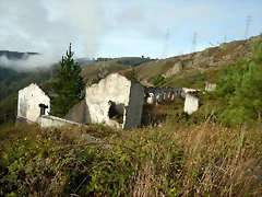 DSCN0111 DSCN0111
