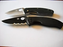 DSCN0199 DSCN0199