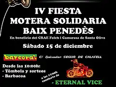 IVSOLIDARIA