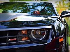 DSC_0875 DSC_0875