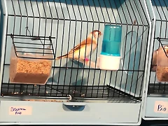 IMG_20170122_120109 IMG_20170122_120109
