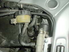 DSCN4522 DSCN4522