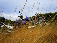 IMG_4772 IMG_4772