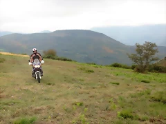 IMG_4774 IMG_4774