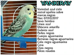 FB_IMG_1495223463202 FB_IMG_1495223463202