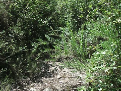 PICT0075