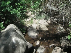 PICT0076