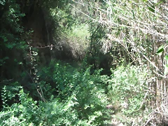 PICT0077