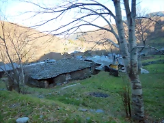 DSCN2786 DSCN2786