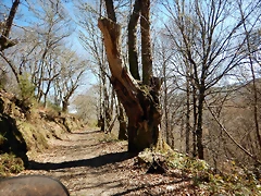 DSCN3763 DSCN3763