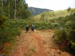 DSCN6920 DSCN6920