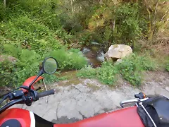DSCN2105 DSCN2105