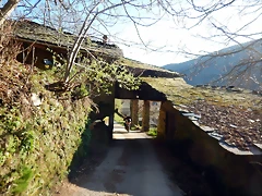 DSCN3931