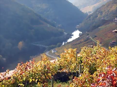 DSCN9787