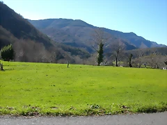 DSCN8040 DSCN8040