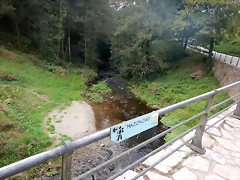 DSCN3540 DSCN3540