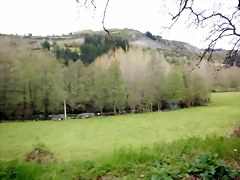 DSCN4102 DSCN4102