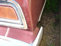 Gener 2011 008