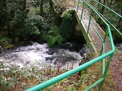 DSCN5754 DSCN5754