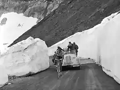 GIRO1953,STELVIO.