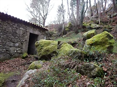 DSCN0128 DSCN0128