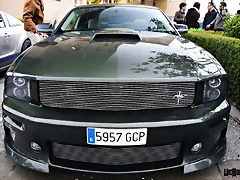 DSC_0664 DSC_0664