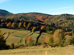 DSCN0008 DSCN0008