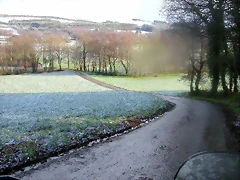 DSCN7471 DSCN7471