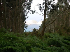 DSCN1441 DSCN1441