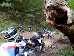 DSCN9774 DSCN9774