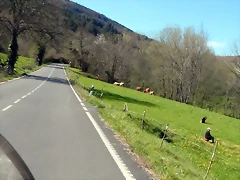 DSCN9213