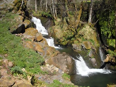 DSCN4013 DSCN4013