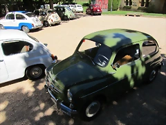 IMG_5638_ IMG_5638_