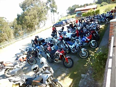 DSCN2990 DSCN2990
