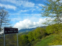 DSCN2243 DSCN2243