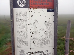 DSCN0069