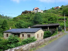 40-IMG_2381